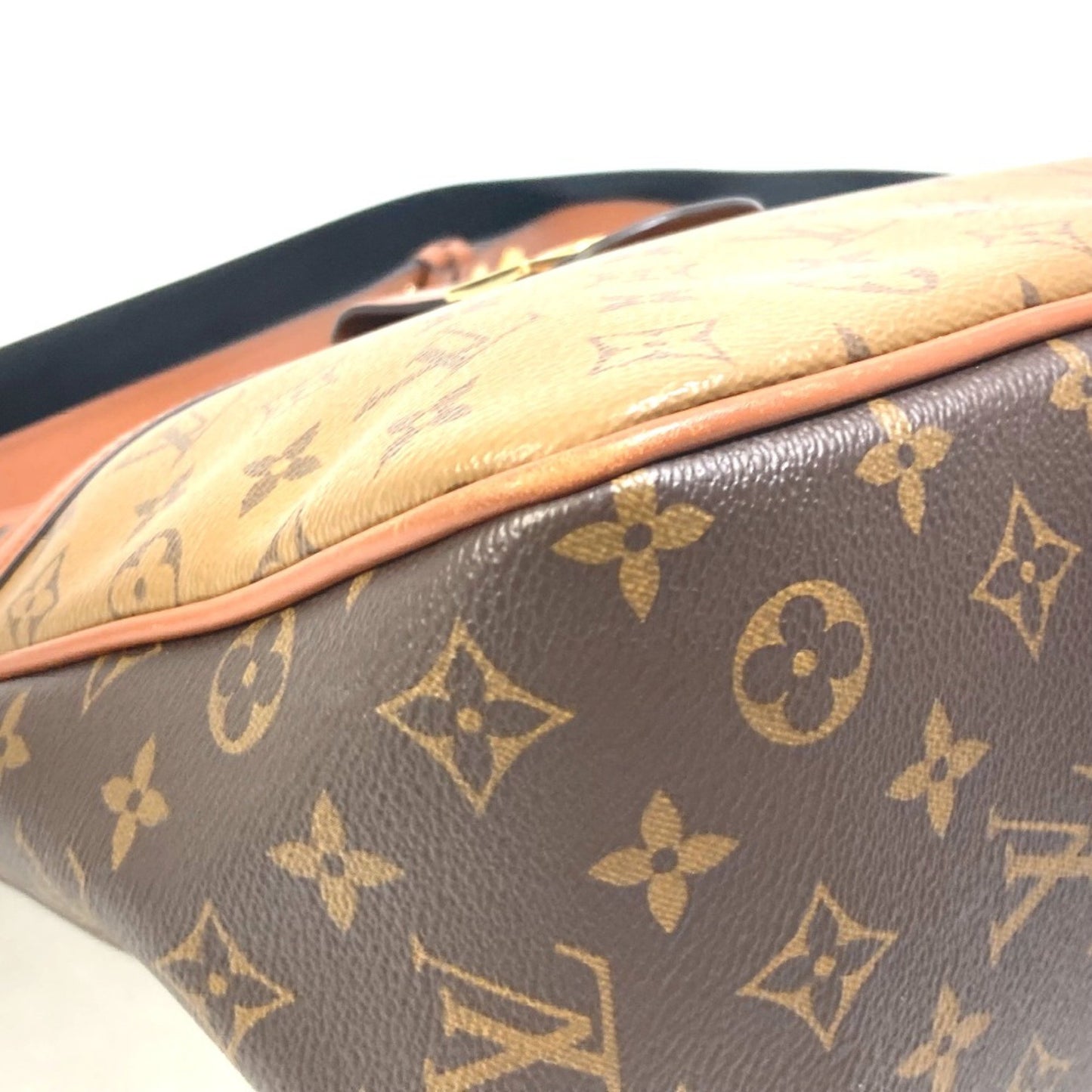 Louis Vuitton Dauphine Hobo