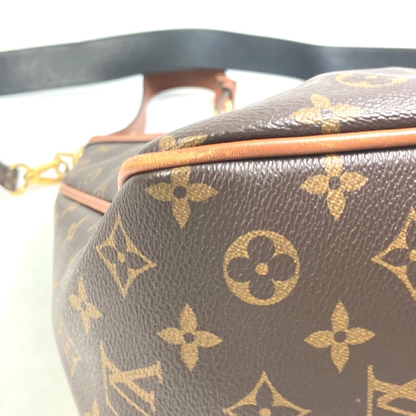 Louis Vuitton Dauphine Hobo