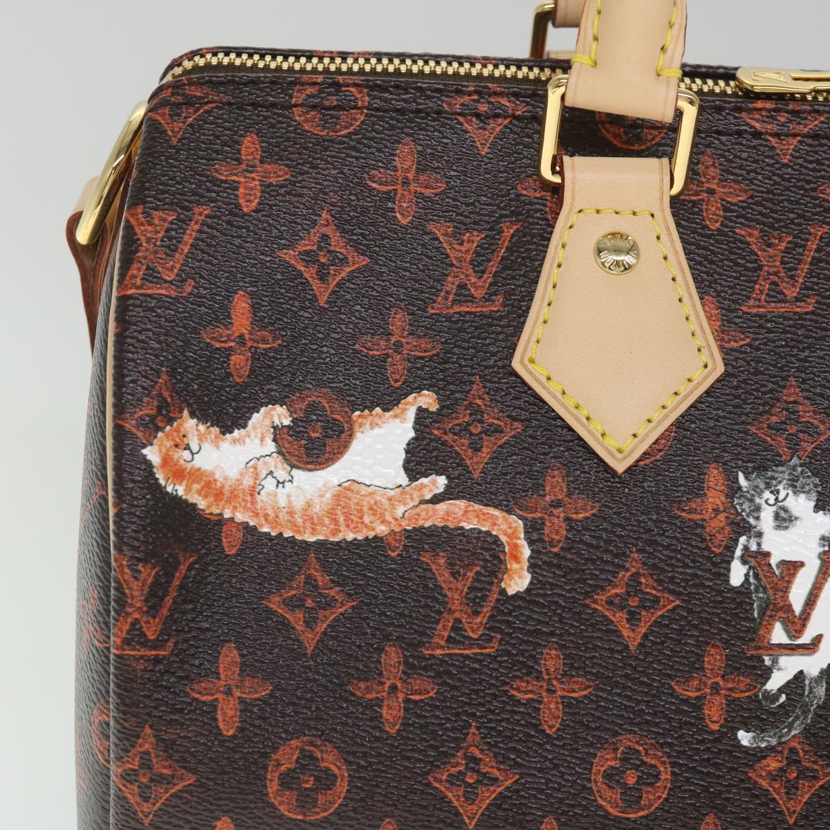 Louis Vuitton Speedy Bandoulière 30