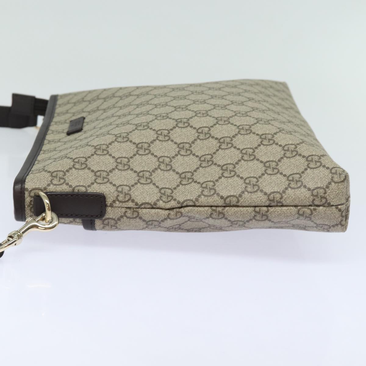 Gucci GG canvas