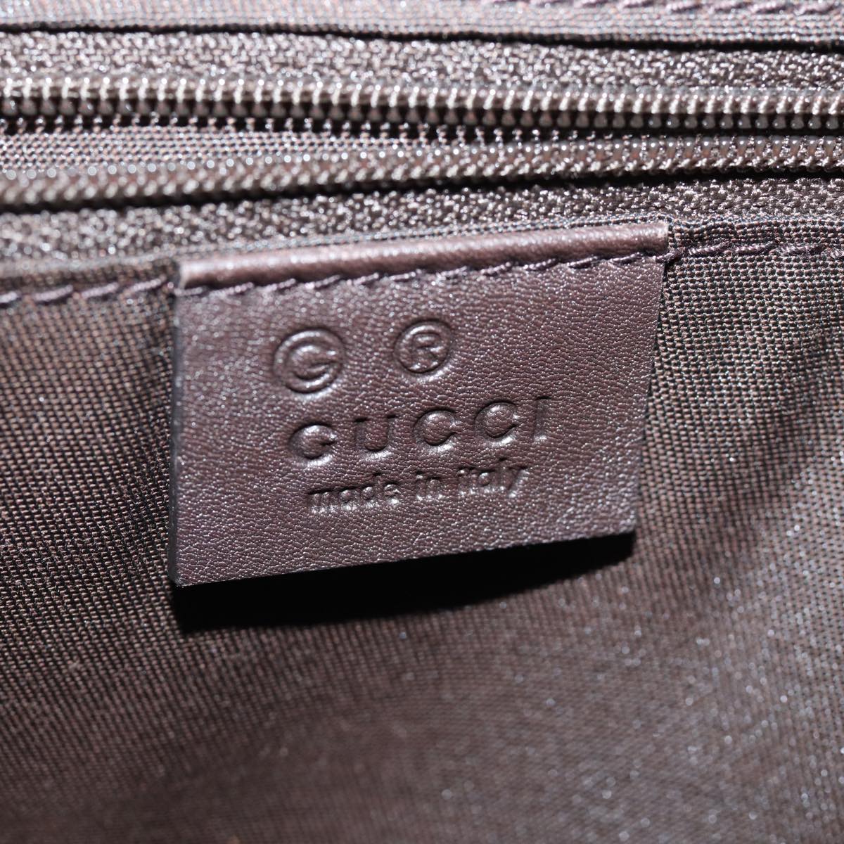 Gucci GG canvas