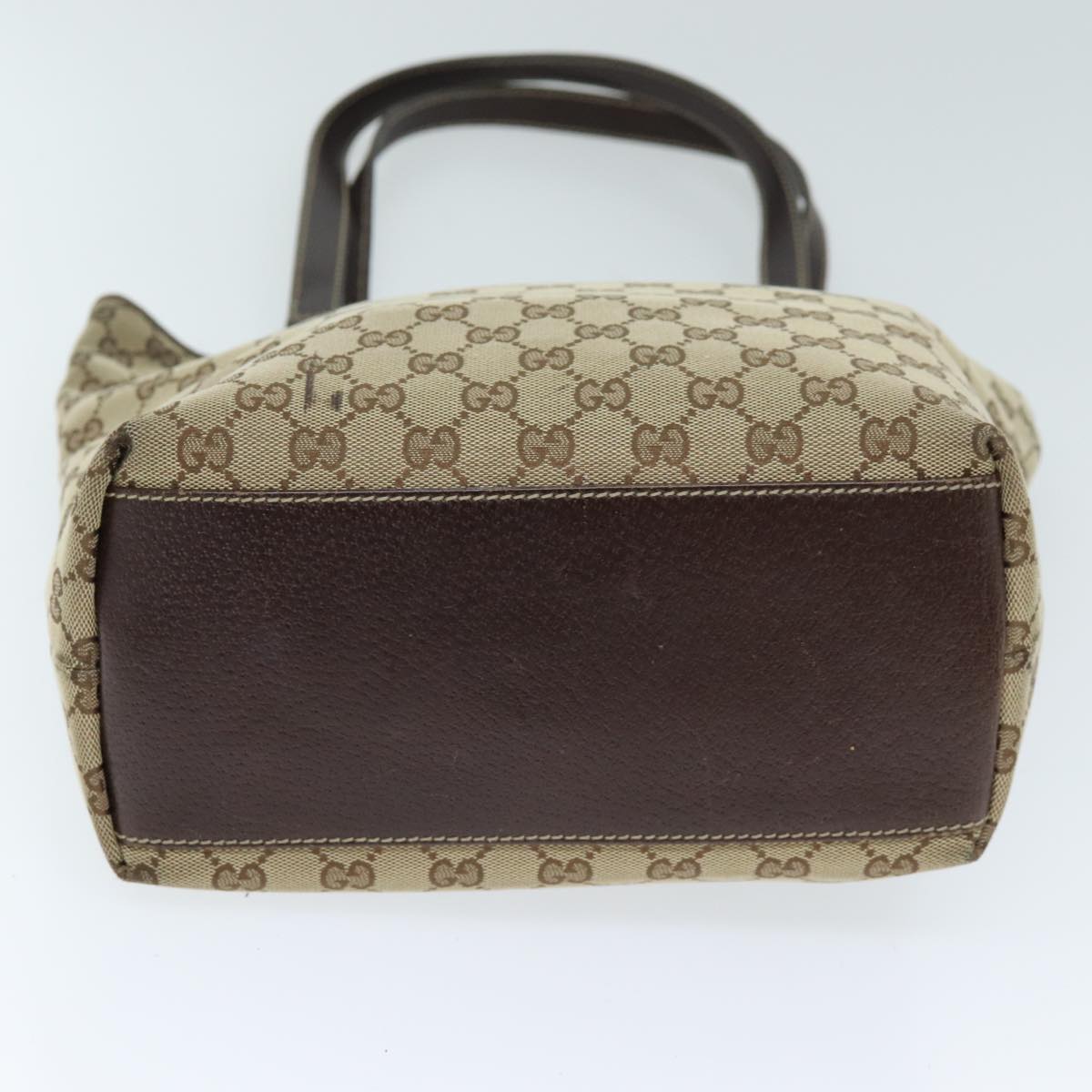 Gucci GG canvas